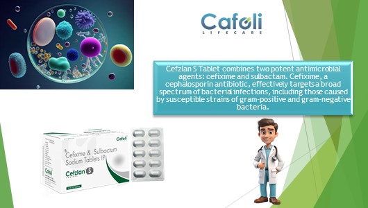 Cefzlan S Tablet at the best price in the Antibiotics Franchise for Bacterial infections.